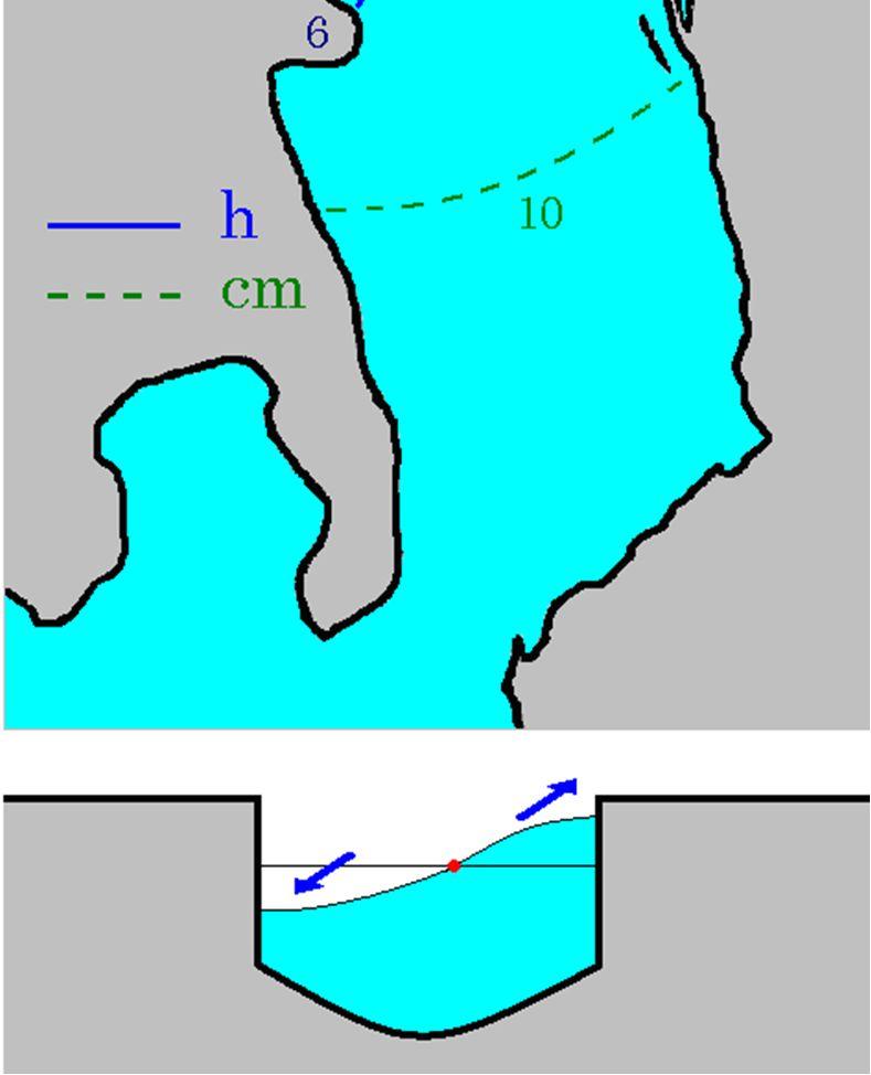 Stella) 96 97 % Lignano Sabbiadoro 12 100 % La figura si riferisce alla componente di marea semidiurna principale M2.