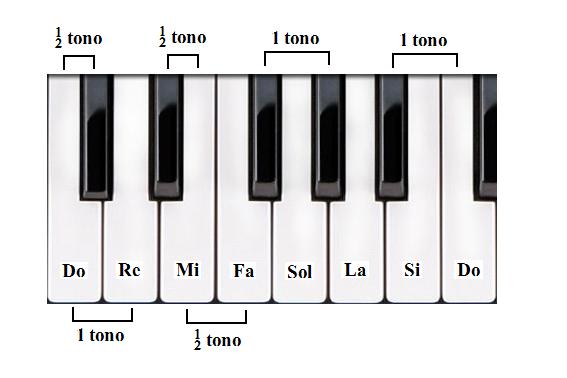 Teoria musicale - 19 MODIFICA DELLE ALTEZZE Nel parlare delle note musicali abbiamo taciuto una particolarità che è necessario ora conoscere.