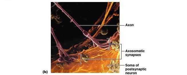 Figure 12.