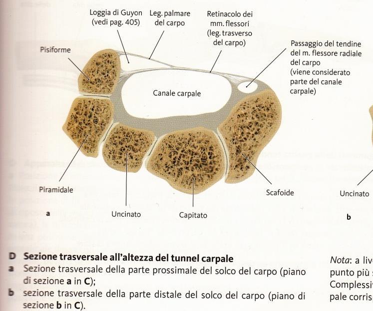 Canale del