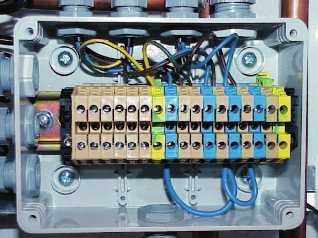 Sonda NTC 2 circuito (bassa temperatura), va collegato alla BE08. Serie dei termostati limite (automatico e manuale).