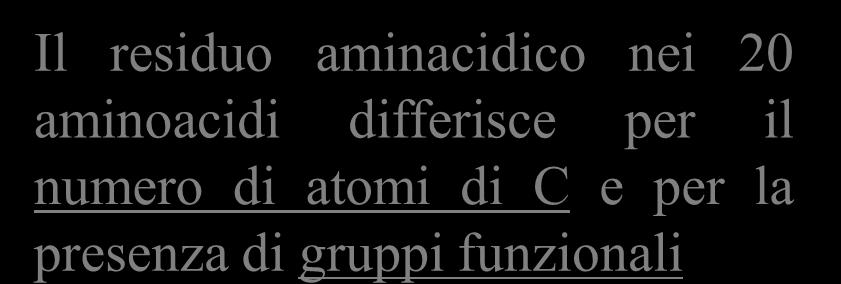 differisce per il numero di atomi di C e per la presenza di