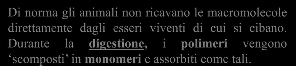 Durante la digestione, i polimeri vengono scomposti in monomeri e assorbiti come tali.