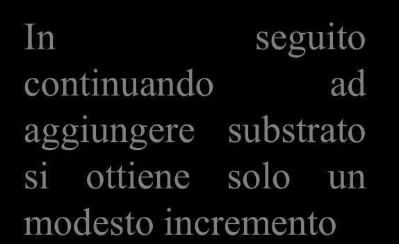 substrato tanto più spesso una molecola di questo entra nel sito attivo All inizio la velocità della