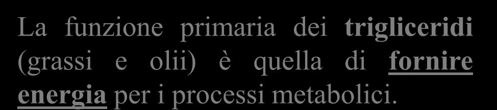 Trigliceridi La funzione primaria dei