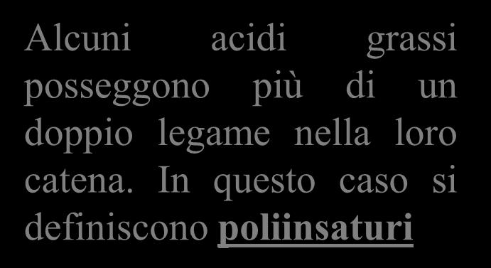 Se gli acidi grassi sono insaturi, le molecole di trigliceridi si dispongono in modo