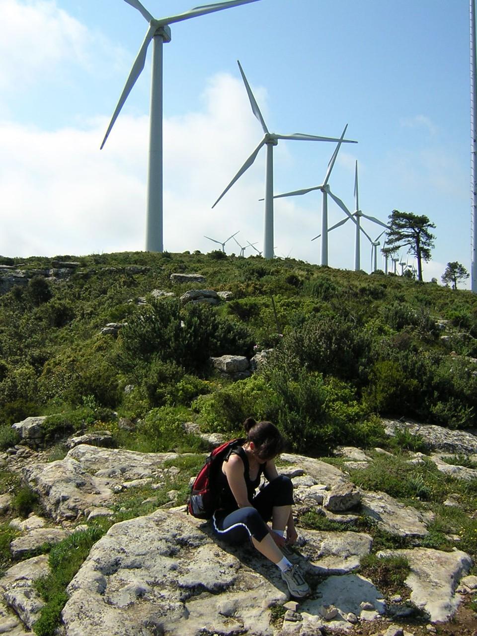 tecnologia semplice Energia-eolica - il vento non costa Alla fine 2009: 159 GW (+nulla 31%; +107% in Cina) - non