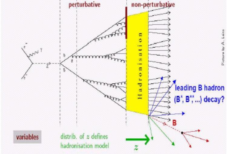 Frammentazione e adronizzazione I quark leggeri + c + b danno luogo a fenomeni di frammentazione e adronizzazione In tempi dell'ordine dei 10 22 s i quark e i gluoni si vestono, ossia danno luogo a