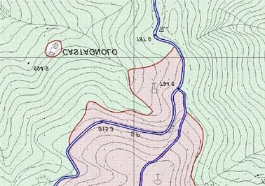 STRATO: 06 Vegetazione Intesa Stato Regioni Enti-Locali per i GIS 01 n 1007_1 Lo strato della vegetazione definisce classi di entità di natura vegetale raggruppati secondo la seguente