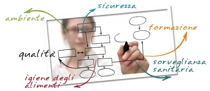 Agenzia formativa accreditata dalla Regione Toscana per la formazione riconosciuta dal 2005