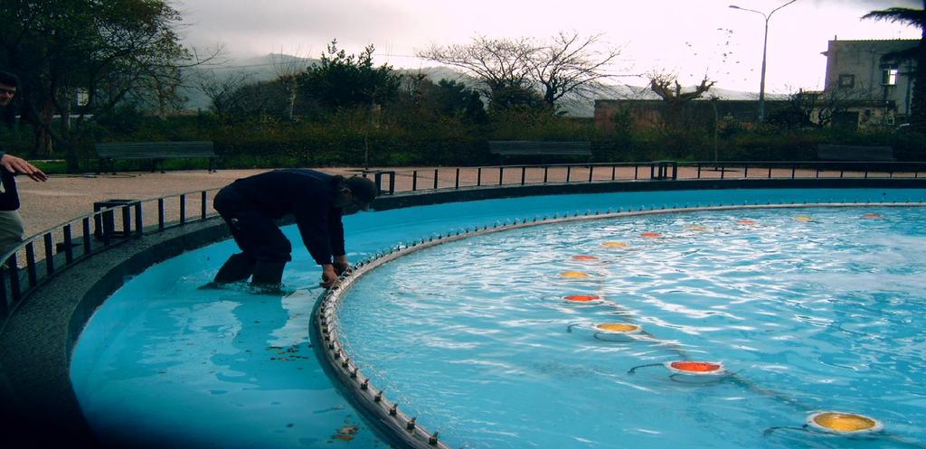 Guida e consigli di come progettare una fontana con bacino per una rotatoria. Consigli e suggerimenti utili.