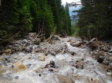 Tratto iniziale della colata detritica sul rio