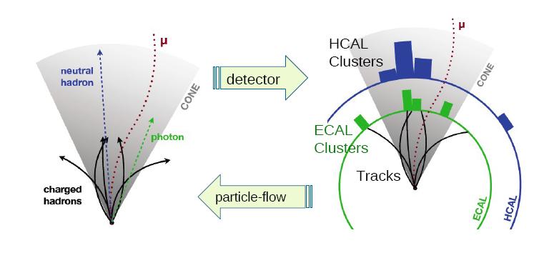 Algoritmo di Particle Flow (PF) Algoritmo di ricostruzione e identificazione delle particelle stabili, di oggetti complessi ( jet, τ,.