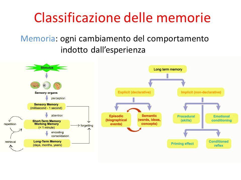 In figura si riporta uno schema che riassume i concetti descritti sopra : Figura : divisione della memoria a lungo termine. Nella parte destra la classificazione in memoria esplicita e implicita.