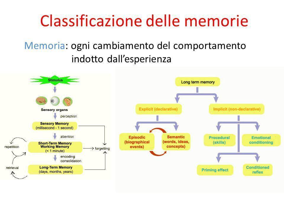 Fig1.1: divisione della memoria a lungo termine. Nella parte destra la classificazione delle memorie di medio-lungo periodo in base al significato funzionale.