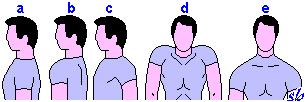 Posizioni delle spalle: a) NORMALI b) AVANTI c) INDIETRO d) IN ALTO e) IN BASSO Posizioni degli arti superiori in