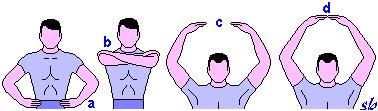 Posizioni degli arti superiori in atteggiamento breve: a) mani alla nuca; b) mani al petto; c) mani alle spalle; d) braccia flesse.