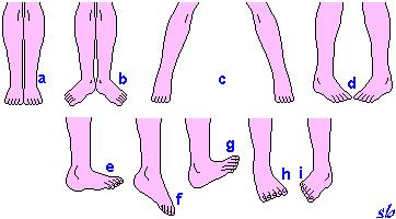 infuori (2). Posizioni delle gambe (ciascuna gamba): a) gamba flessa; b) gamba estesa; c) gamba ruotata: indentro (1), infuori (2).