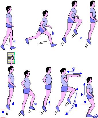 Movimenti ginnastici particolari del corpo: a) DEAMBULAZIONE b) CORSA c) BALZO (con avanzamento) d) SALTO e) SALTELLO (minore ampiezza ed elevazione) f) ANDATURA (sequenza