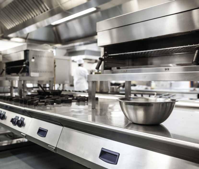 Blatte Formiche Tignole Mosche 8HORECA: CUCINE E LOCALI DI SERVIZIO, GIARDINI ED ESTERNI, CAMERE E CARRELLI Horeca: - Cucina e locali di