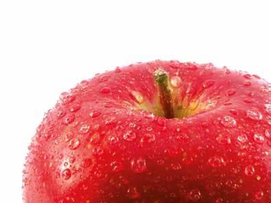Meccanismo d azione unico per una protezione superiore dall oidio CIDELY è l antioidico di ultima generazione per il melo proposto da Syngenta.