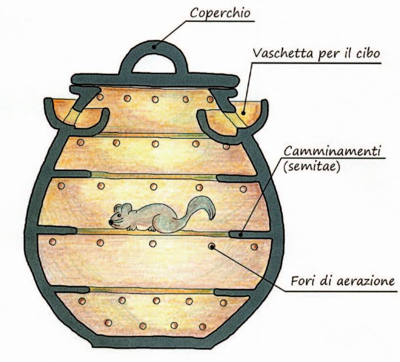 Fig. 2 Fonte Laterina (Scarperia e San Piero)