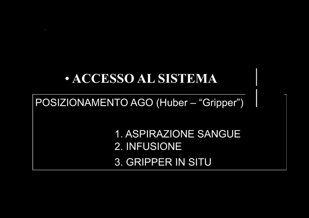 ACCESSO AL SISTEMA POSIZIONAMENTO AGO (Huber -