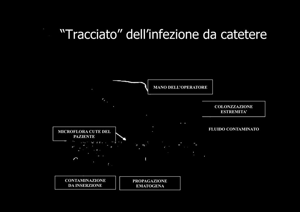 COLONZZAZIONE ESTREMITA'