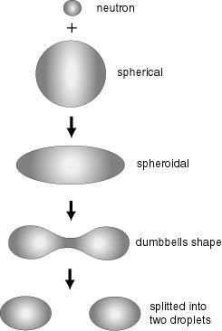 Fissione Nucleare Esempio con fissione simmetrica Repulsione coulombiana dei due frammenti ~6 MeV ( 235 U) Ground state ~200 MeV ( 235 U) Fissione spontanea Avviene per effetto tunnel Teoricamente