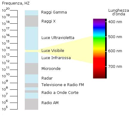 Lo spettro delle onde elettromagnetiche Frequenza, Hz Lunghezza d onda La luce visibile consiste di onde
