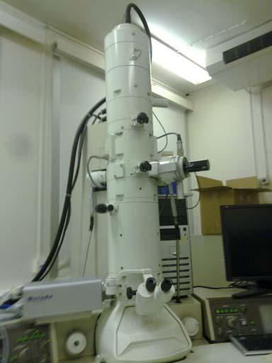 Il microscopio elettronico: TEM Il potere risolutivo del
