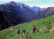 domenica 01 ottobre Anello del Monte Zaiavor I primi colori d autunno visti sulla cima posta all estremità orientale della catena del Musi, tra la Valle di Uccea e la Valle del Rio Bianco.