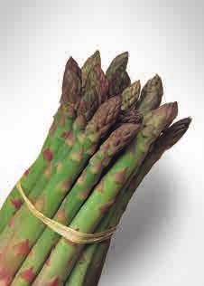 ASPARAGUS