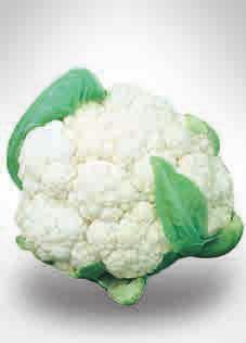 - CAULIFLOWER Palla di