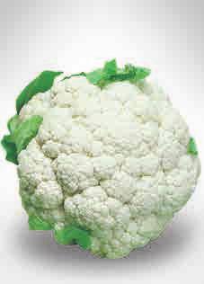 CAULIFLOWER Marzatico