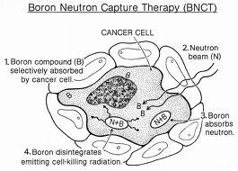 BNCT (Boron Neutron Capture Therapy) La BNCT fa parte delle cosiddette terapie binarie poiché sfrutta l azione sinergica di due componenti che, singolarmente, avrebbero minore effetto nella cura