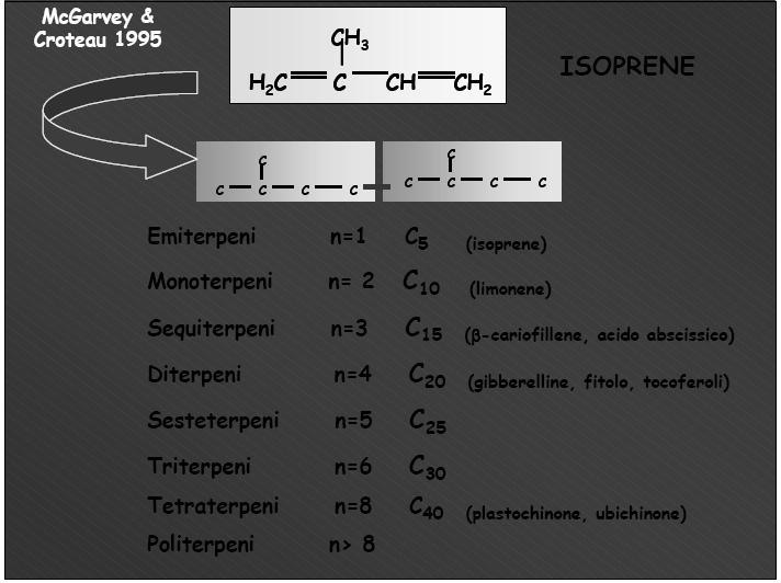 I terpeni, sostanze volatili dotate di aroma, sono coinvolti nella difesa chimica