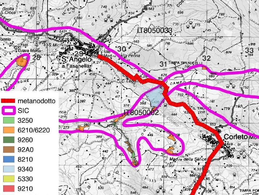 Fauna Per quanto riguarda le specie di allegato II della Direttiva Habitat, il piano di gestione indica che la porzione di sito direttamente interessata dall intervento ha un alto livello di idoneità