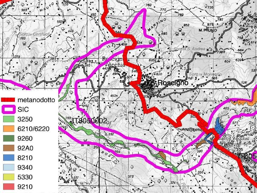 Riguardo agli habitat dell all. I Direttiva Habitat, in prossimità del Ponte sul Sammaro si riscontra 8210 Pareti rocciose calcaree con vegetazione casmofitica.