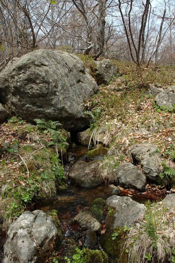 Sorgente per limite di permeabilità indefinito che si colloca all interno dei corpi rocciosi, in