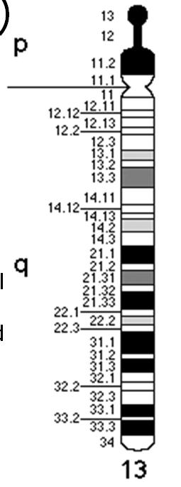 acetilasi e deacetilasi) prb appartiene alla famiglia delle pocket protein family che consiste in proteine che possiedono una tasca per il legame ad altre proteine. v. 0.