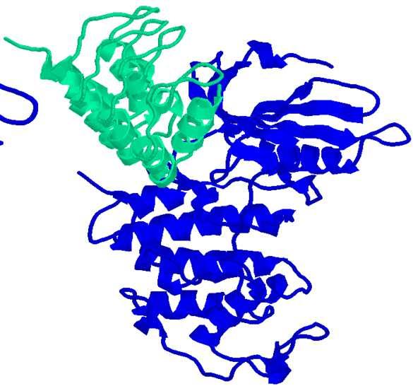 p16 INK4a e p19 INK4d - Cdk6 1BI7 v. 0.