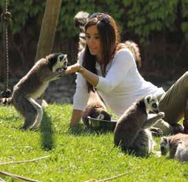 VISITE GUIDATE Fin dalla sua nascita il Parco Faunistico Le Cornelle ha una chiara consapevolezza del valore formativo che l incontro con gli animali può offrire.