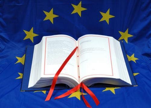 I Politica d informazione europea Articolo 42 Carta dei diritti fondamentali dell Unione europea «Qualsiasi cittadino dell'unione e qualsiasi persona fisica o giuridica che