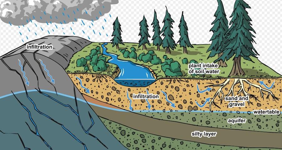 LE ACQUE SOTTERRANEE Il suolo può essere permeabile, ovvero lasciarsi attraversare dall acqua, o impermeabile.