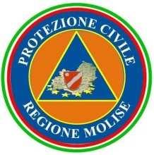 N. 233/CF Campobasso, 29/07/2016 TRASMISSIONE A MEZZO FAX Dipartimento Nazionale della Protezione Civile Presidente della Giunta Regionale Prefetture(Campobasso e Isernia) Province (Campobasso e