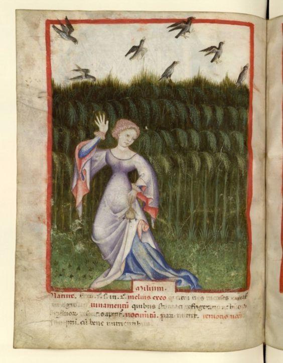 può dire che la cioppa della donna abbi due mantelli da le latora, da ogni lato un mantello -San Bernardino da Siena (Prediche, 1427)