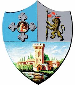 Comune di Casalecchio di Reno Via dei Mille, 9 40033 Casalecchio di Reno (BO) Il Sindaco Ord. N.