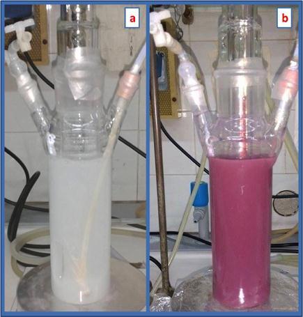 Sintesi dei risultati sperimentali ottenuti con la glicerina Aspetto della soluzione finale, a) TiO2-P25, b) TiO 2 modificato con rame (a) Velocità della