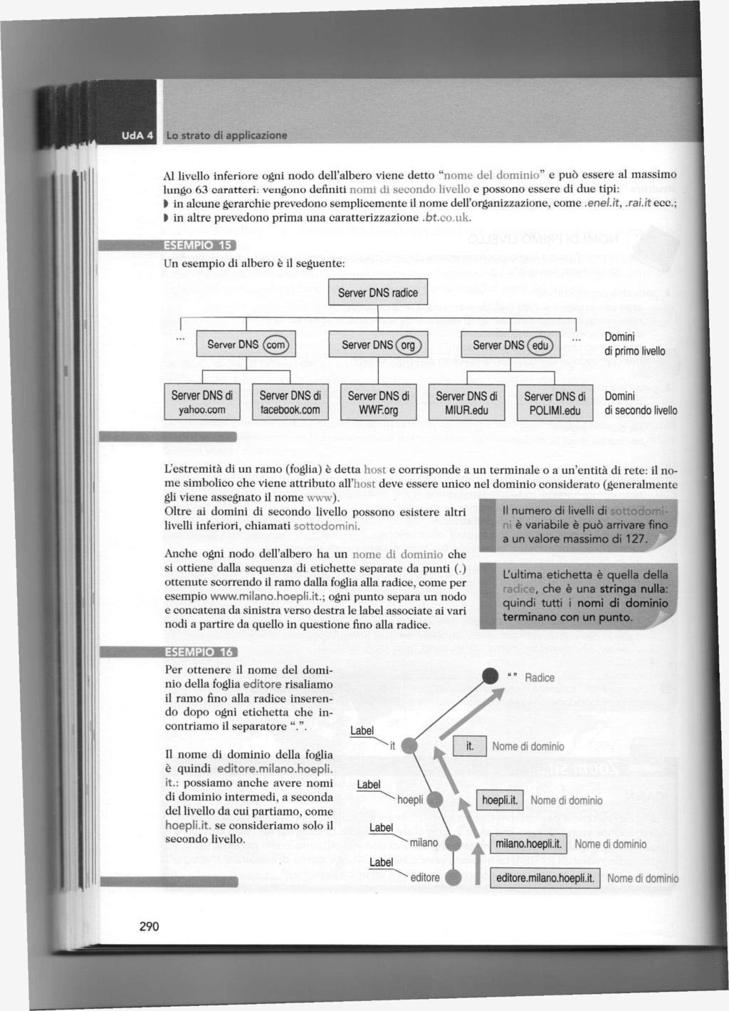 Al livello inferiore ogni nodo dell'albero viene detto "nome del dominio" e può essere al massimo lungo 63 caratteri: vengono definiti nomi di secondo livello e possono essere di due tipi: I in